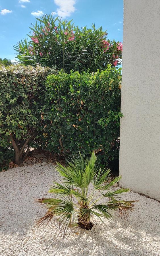La Catalane - Les Jardins Du Rivage - Wifi- Piscine Villa Le Barcarès Eksteriør billede